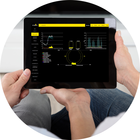 Software enerFACE.online